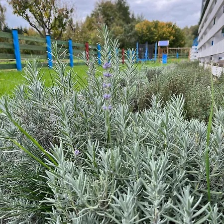 W Dolinie Bobru Tatil Evi *