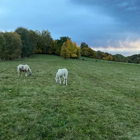 W Dolinie Bobru Tatil Evi *