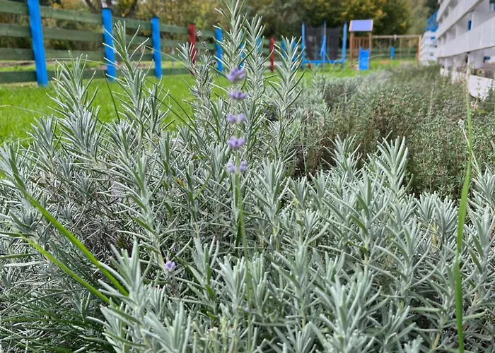 W Dolinie Bobru Prázdninový dům *