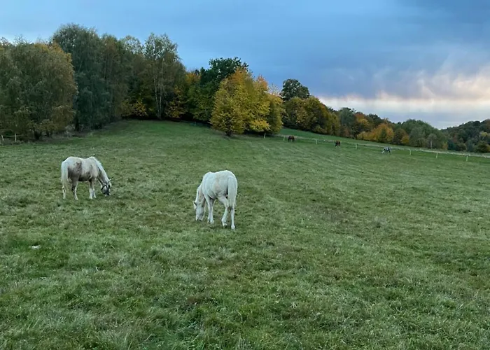 W Dolinie Bobru Prázdninový dům *