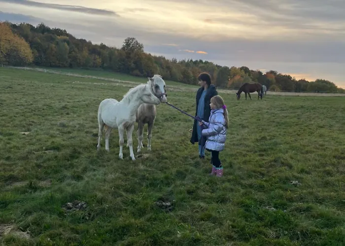 W Dolinie Bobru Holiday home Siedlecin